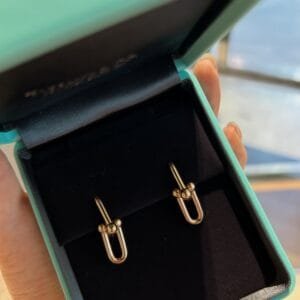Tiffany Hardwear 3 Colors Earrings